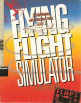 Flying Flight Simulator
